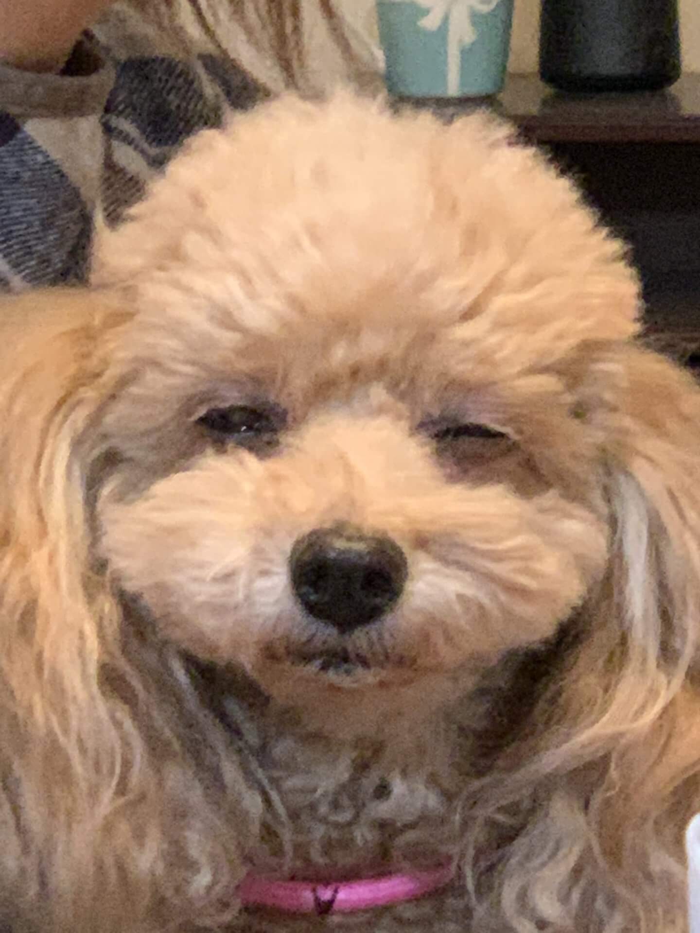 眠たい時もある | その他