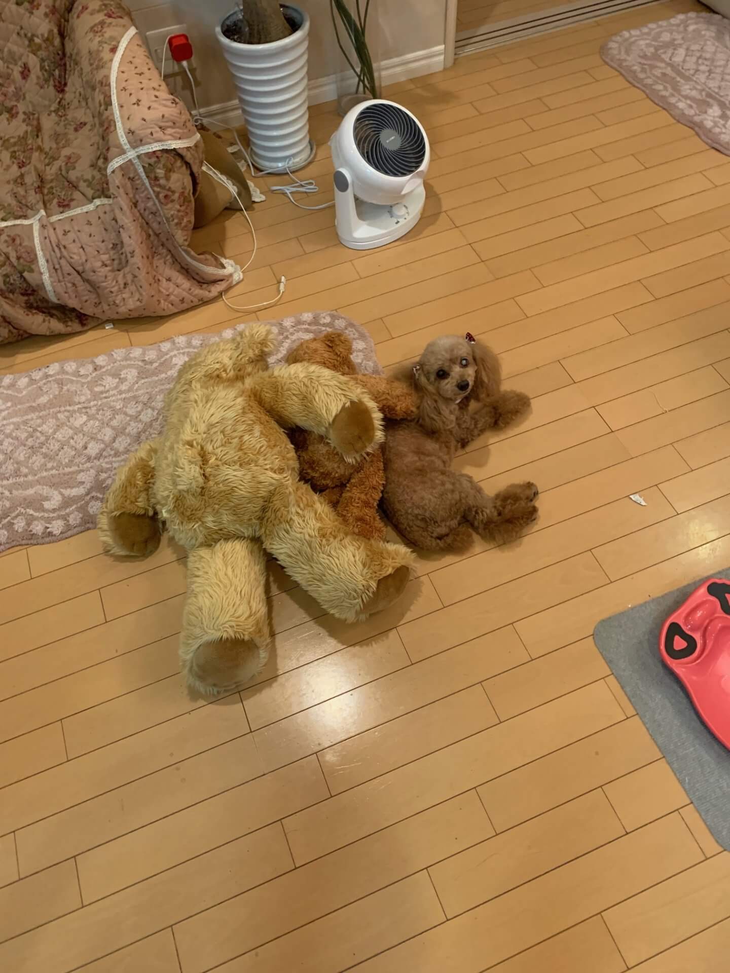 本物はどれでしょう？・・・答え（笑） | その他