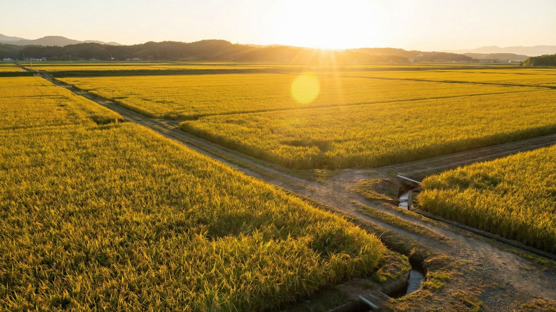 農地のままでは評価額が下がらない現実 | 不動産相続・売却の専門コラム
